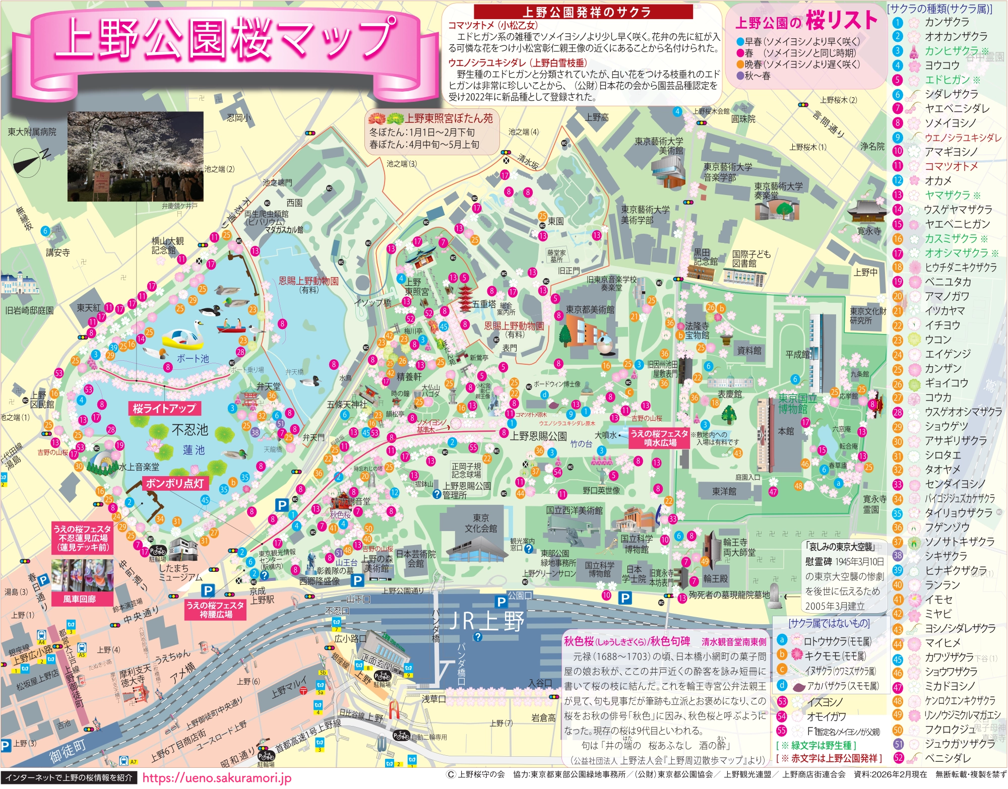 上野公園桜マップ2026